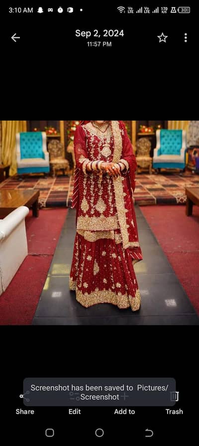 wedding sharara