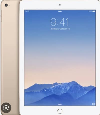 Apple iPad Air 2   2 nd generation Gold 16 Gb WiFi
