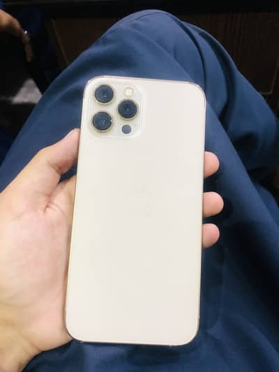 iPhone 12 Pro Max PTA approved