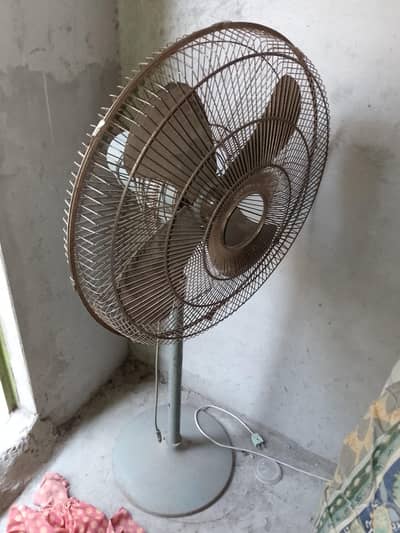 royal fan for sale