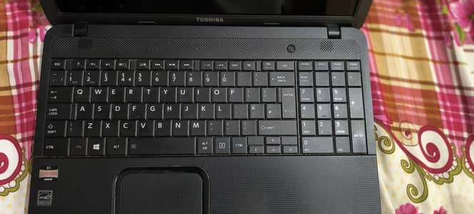 Toshiba AMD E1