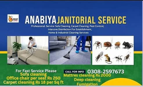 Deep Cleaning Sofa cleaning/Carpet Cleaning/Mattres Cleaning karachi