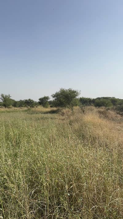 160 Kanal Land For Sale