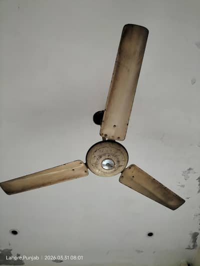 ceiling fan
