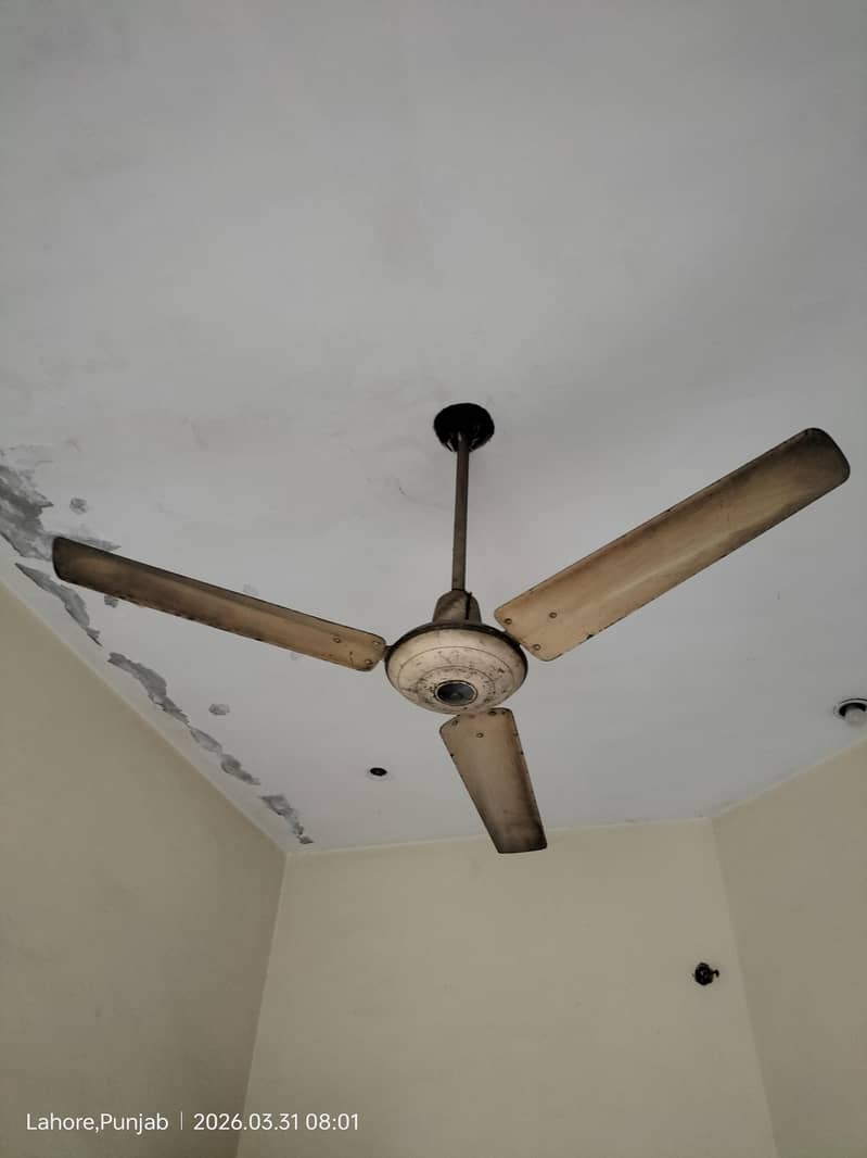 ceiling fan 1