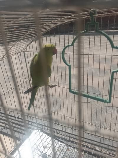 f. mail katha active