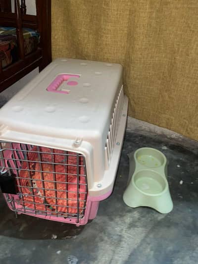 fully trained relaxing male