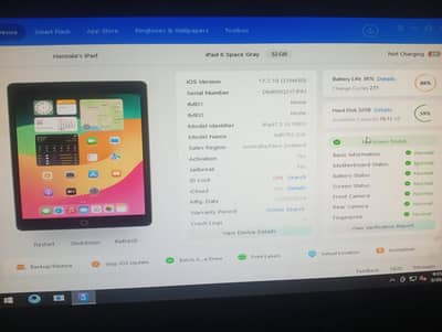 iPad 6 gen Full lush 10/10