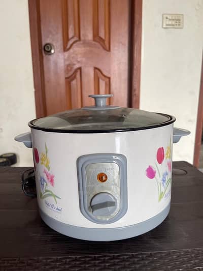 Brand new Deep Fryer