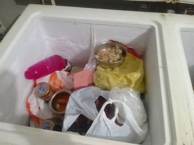 waves deep freezer double door