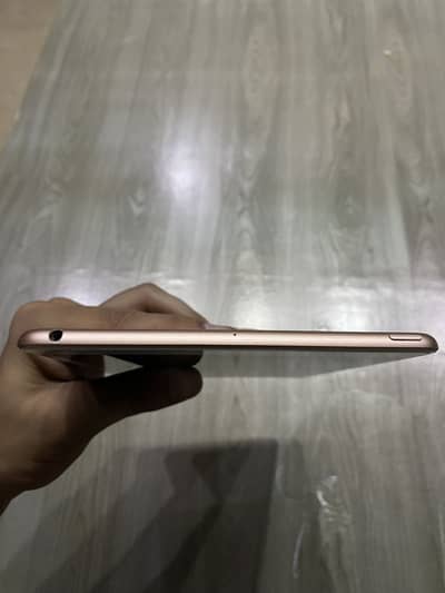 Ipad Mini 5