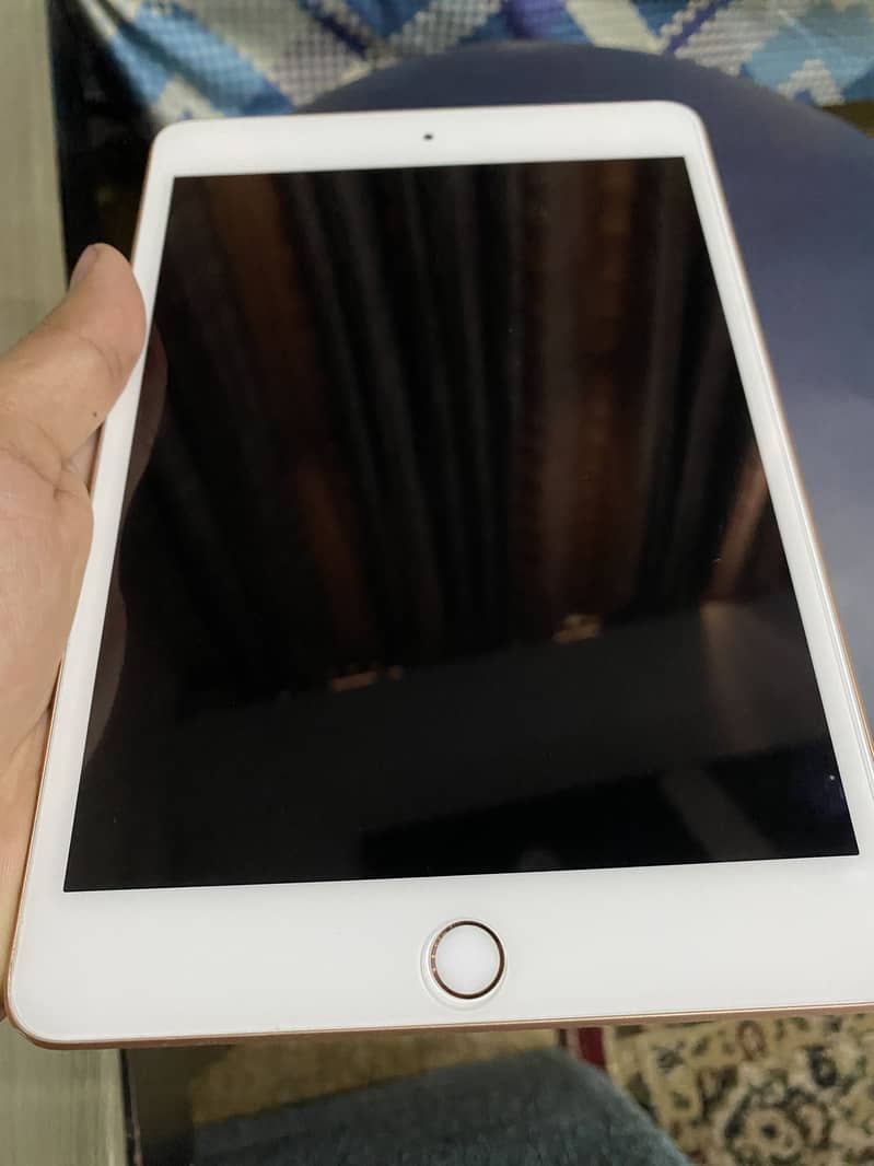 Ipad Mini 5 1