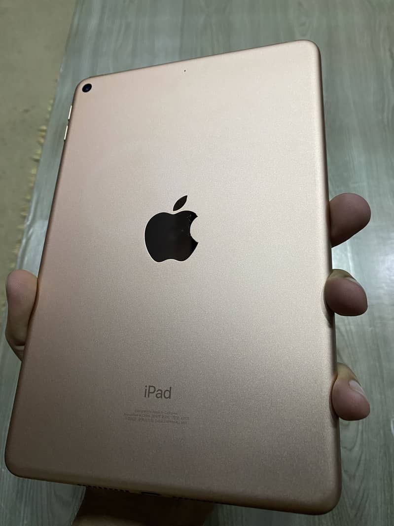 Ipad Mini 5 3