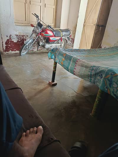 neat & clean metro 11 model