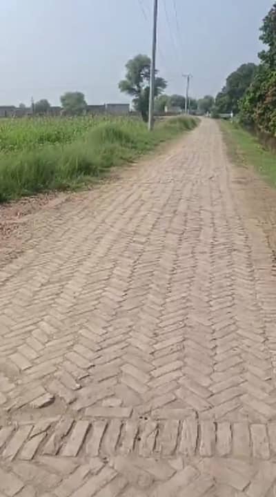 Agricultural Land For Sale In Shujabad