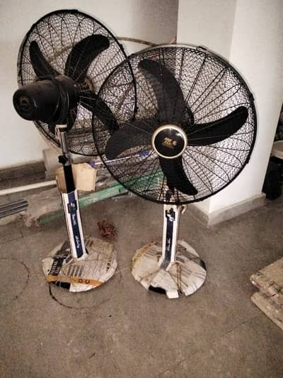 Pedestal Fans 24inch
