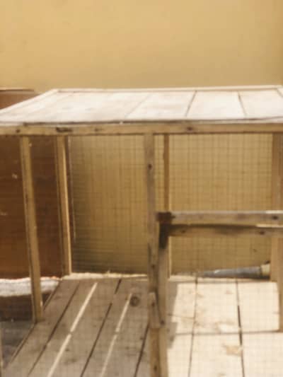 Pinjra Size 2/2 WhatsApp 03237881777