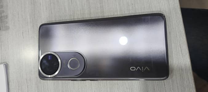 vivo v50--12/256  (03339699317)