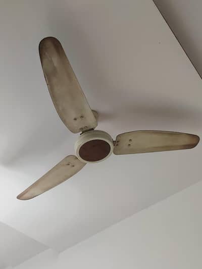 Royal ceiling fans