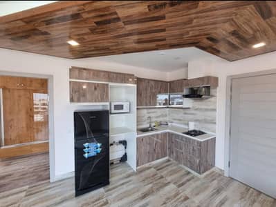 Fully Furnished 1 Bedroom Apartment for Rent Spring Apartments