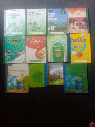Class 4 Aps school books