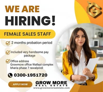 Sales Representative