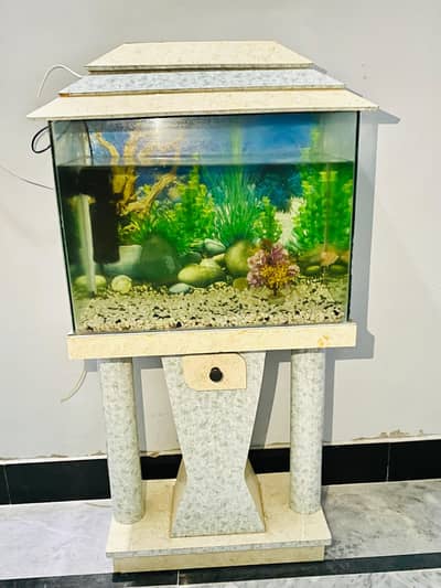 fish equirium contact on WhatsApp 03172660902