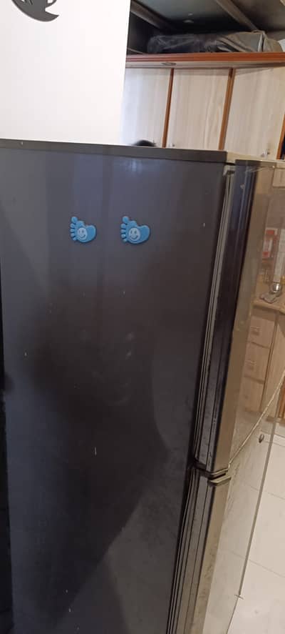 PEL Refrigerator for Sale – Urgent | Like New Condition
