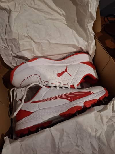 Puma Spike 24.2 Cricket Shoes for Sale