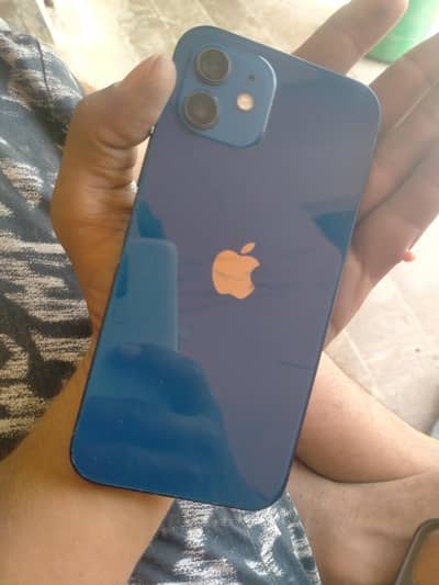iPhone. 12 Bluew clour