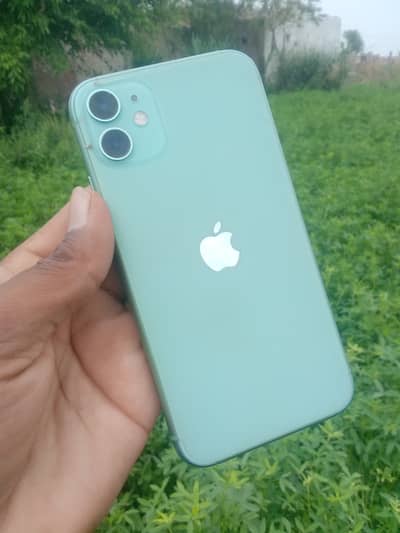 iPhone 11 for sale 64 gb /jv