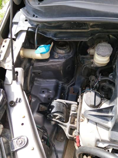 chat pelar janwan aik side pint