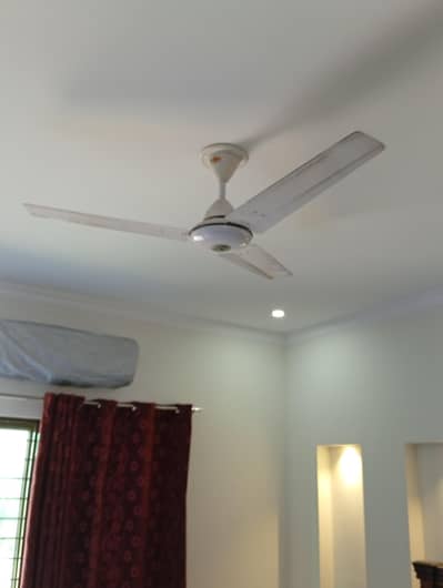Ceiling fan for sale
