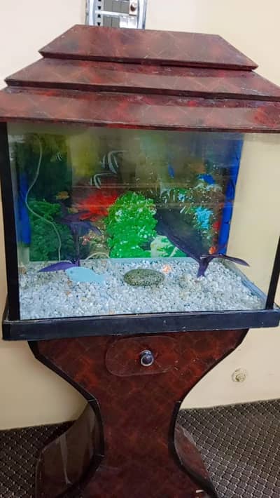 Aquarium with oxygen pump