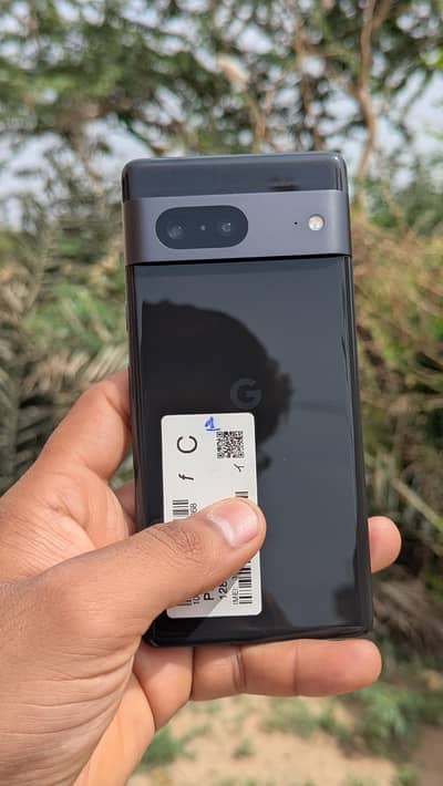 Google pixel 7 official pta approved