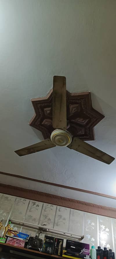 G. F. C  two fans  10/9  03354365256