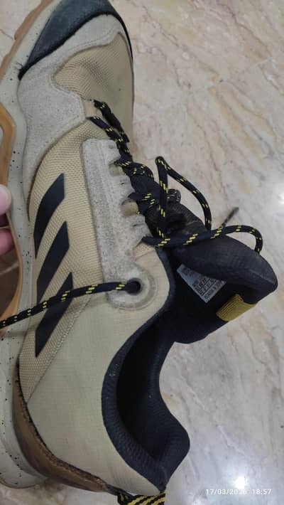 Adidas Terrex American Sports Shoe