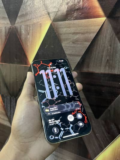 Iphone 13 pro max factory unlock