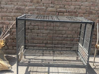 pingra for sale new candishab