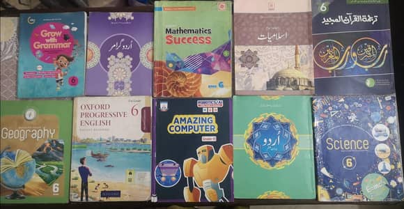 Allied Grade 6 Books & copies