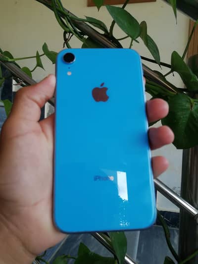 Phone sirf bypass hai or koi issu nhi exchange possible with ip 11