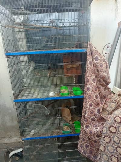 Master folding cage 12000