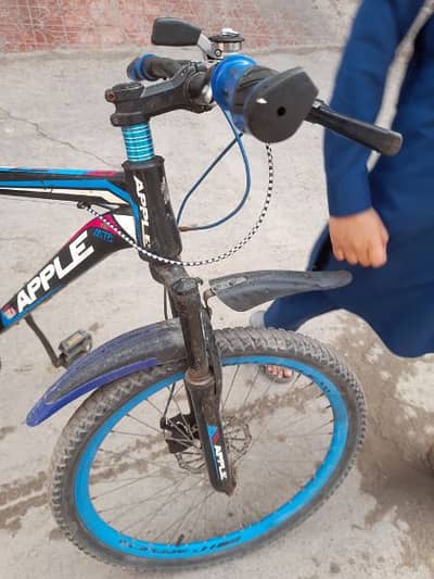 Apple Morgan bicycle  23000