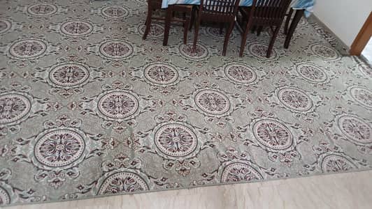 Big Size Carpet for Sale 11×19 – Soft & Clean – Best Price