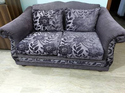Double shade sofa set