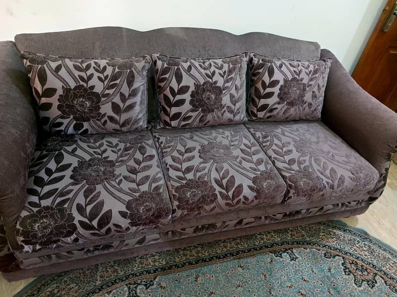 Double shade sofa set 2