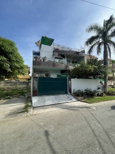 Owner built park facing house