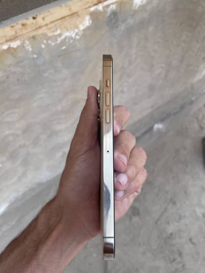 iPhone 13 Pro Max pt approved