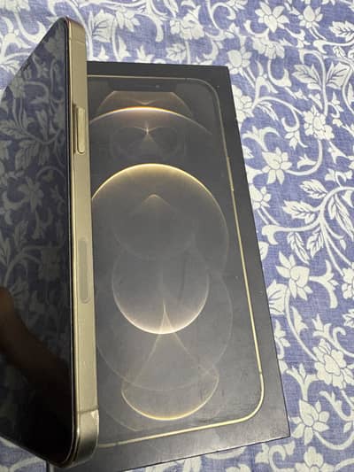 Iphone 12 pro max pta approved