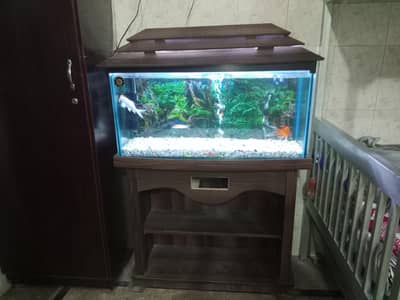 fish aquarium 12Mm glass total complete water pump heter etc